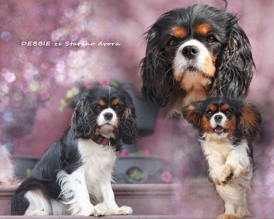 Debbie ze Star�ho dvora