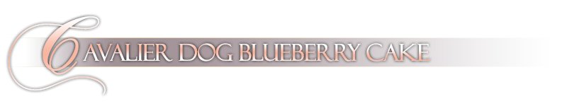 Cavalierdog Bluberry Cake