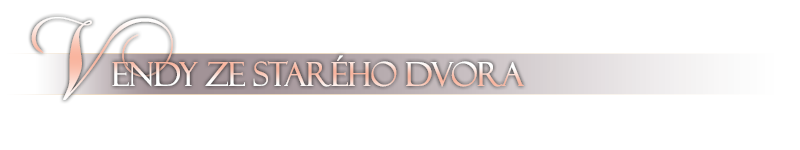 Vendy   ze Star�ho dvora
